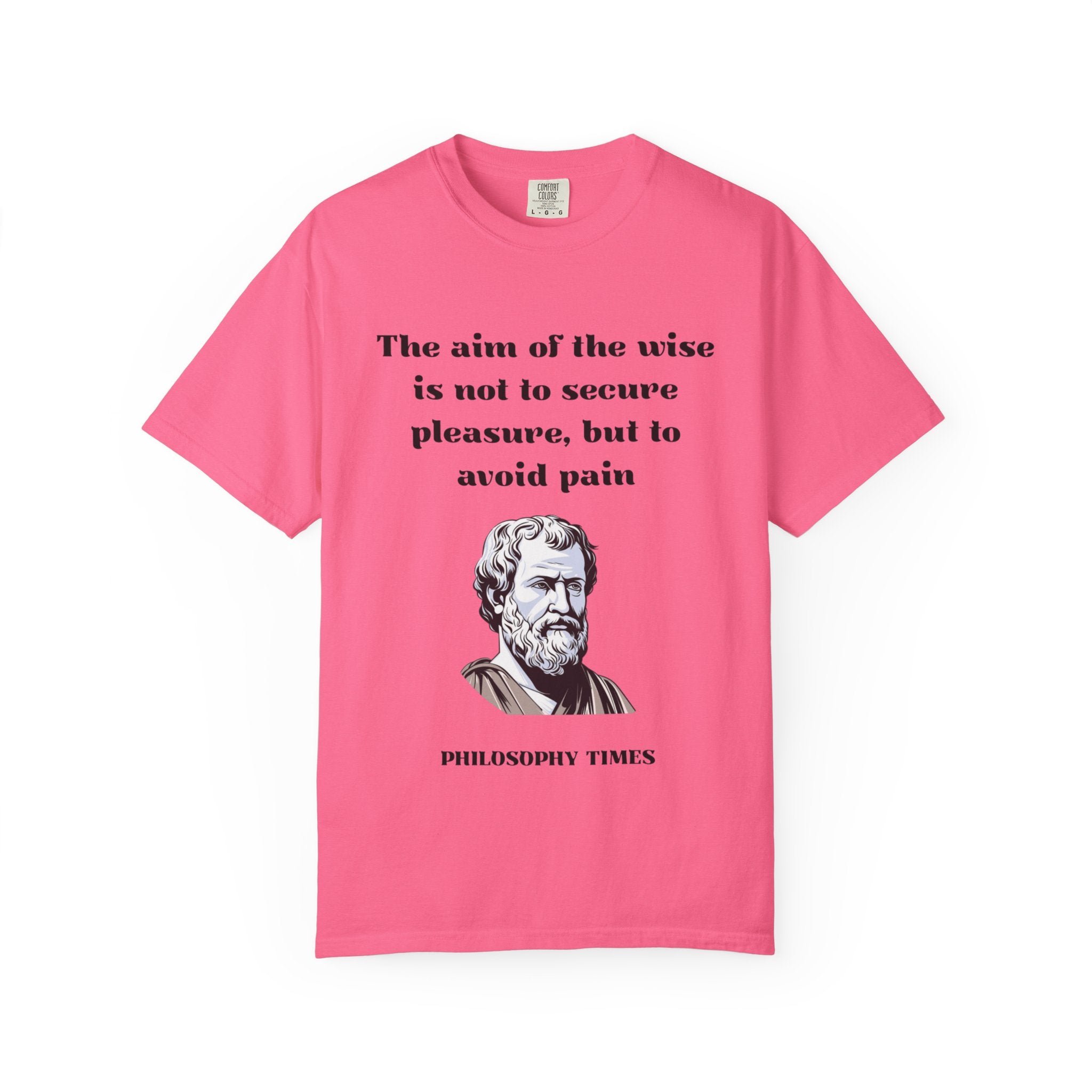 Aristotle T-Shirt Printify