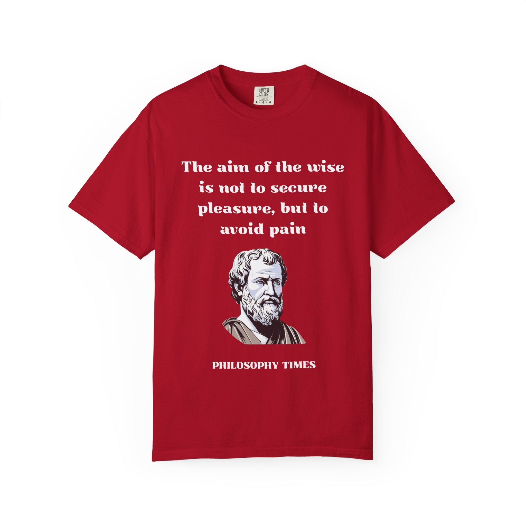 Aristotle T-Shirt Printify